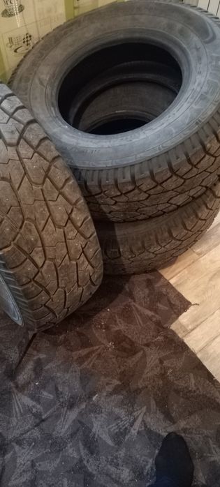 Автомобильные шины