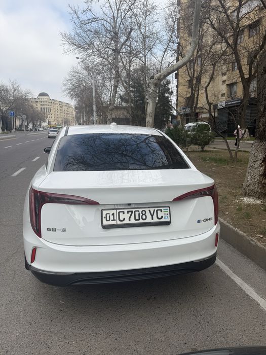 Hongqi E-QM5 sotiladi