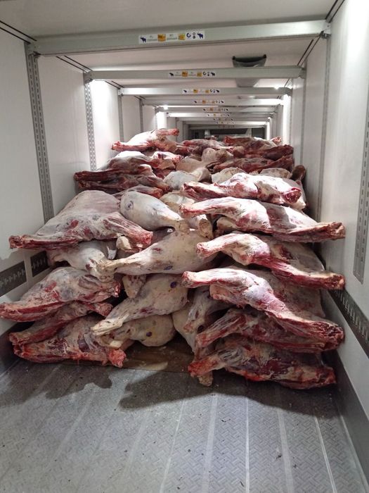 Мясо говядины тушами