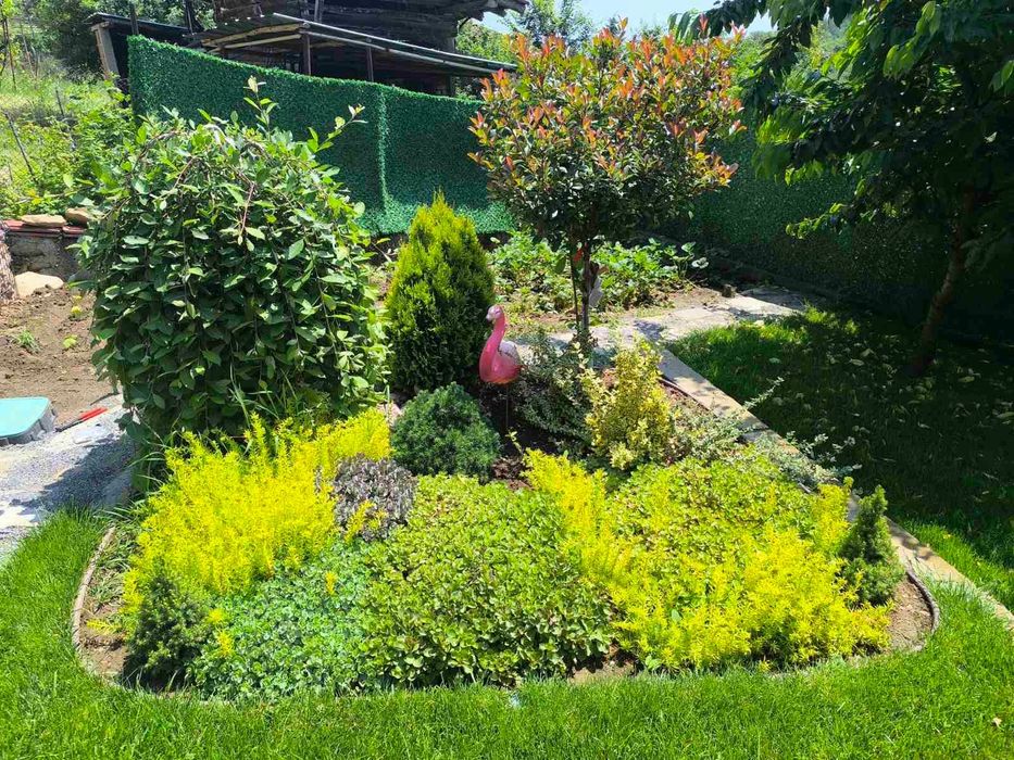 Изграждане на автоматизирани поливни системи и поддръжка