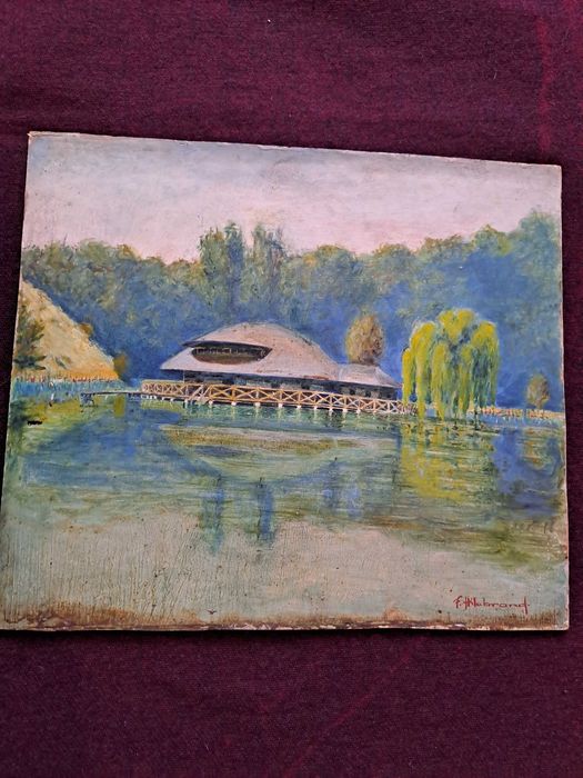 tablou pictura pe carton gros 35/40 cm semnat f hillebrand