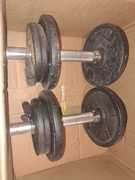 Gantere 2x10 kg Domyos