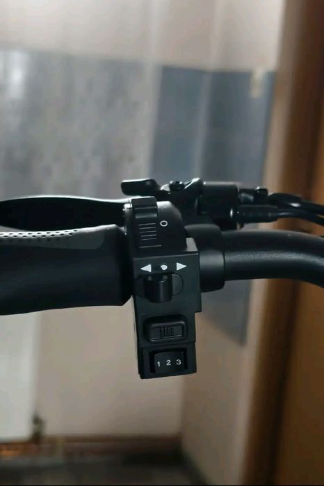 Trotineta electrica OTDT10