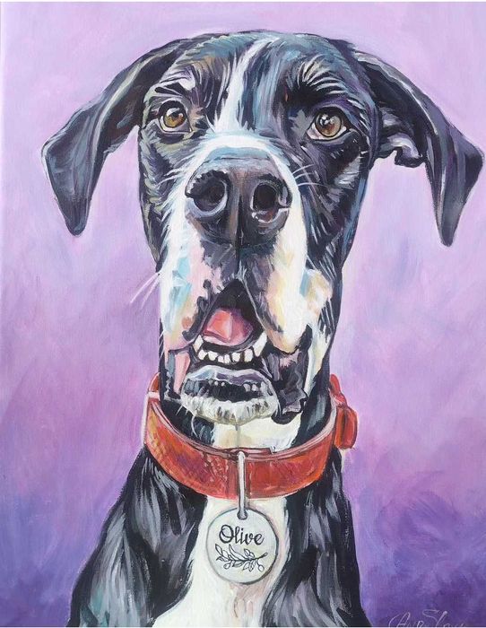 Портрет на домашен любимец по снимка 60лв.