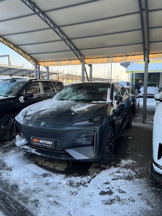 Changan depal s07 215max