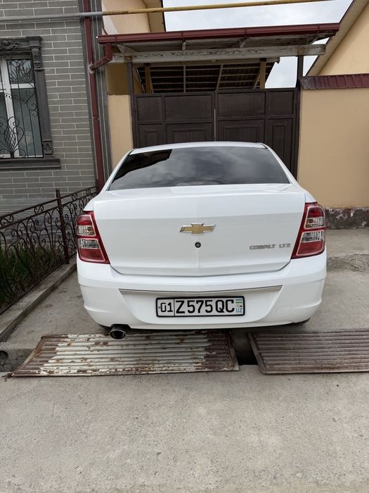 Краскаси тозза.                    .