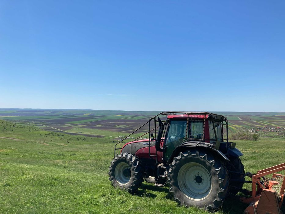 Curatare si defrisare teren industrial, agricol sau rezidential
