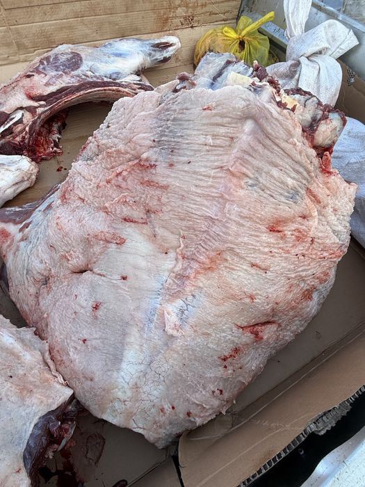 10 кг 3500 тг кг