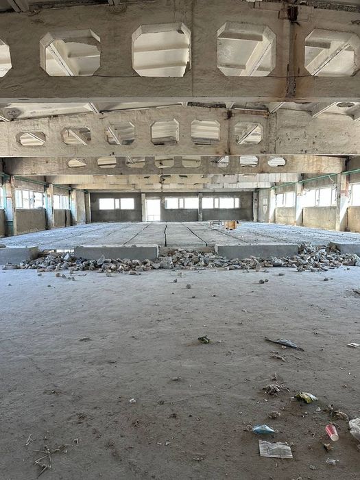 Pilita pines Balkan kalona ferma пнес балка калона ферма