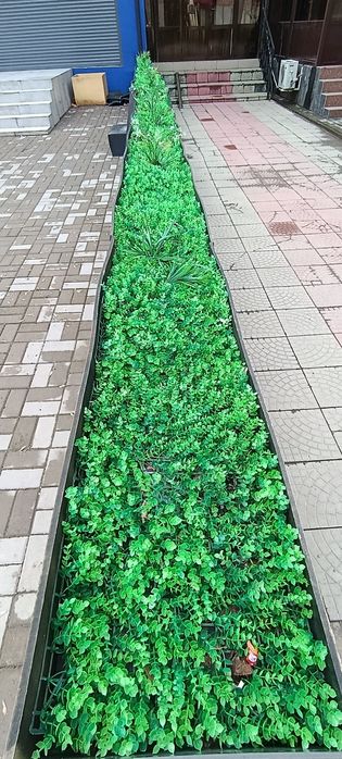 Зелёный забор, клумба для дома