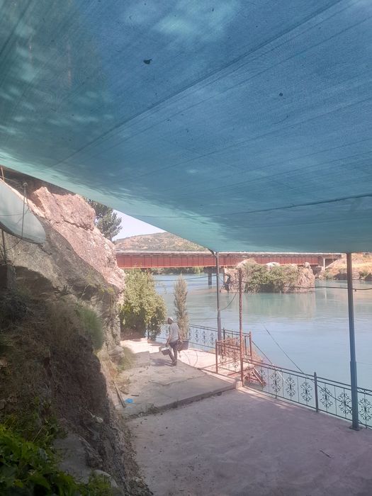 Соя сетка тортиш арзон нархларда