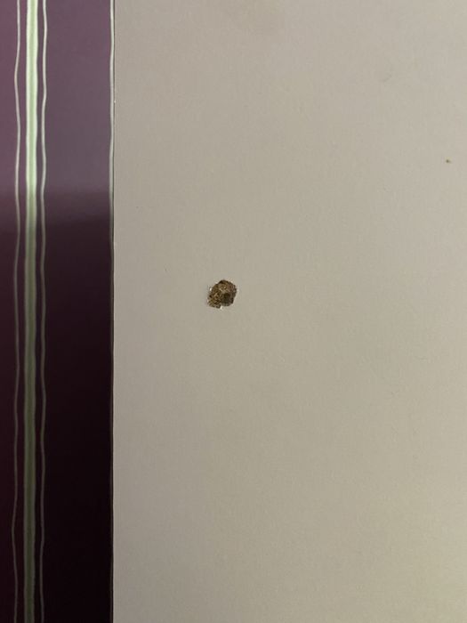 Шкаф икеа книжный ikea