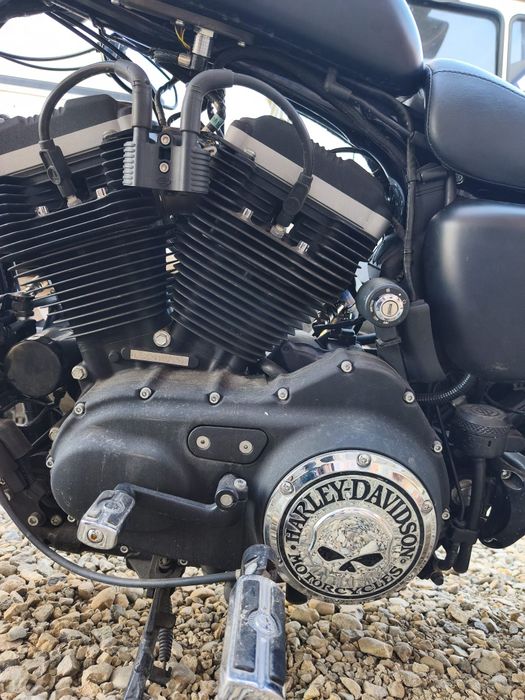 HarleyDavidson Sportster 883 2013