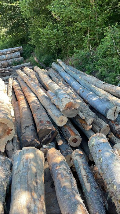 Lemn de Foc Fag !Contra cost se taie si sparg!Cele mai bun preturi !