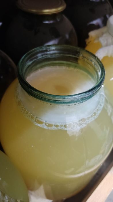 Домашний яблочный уксус