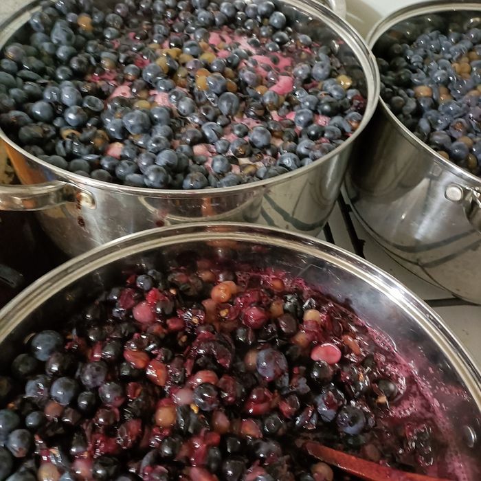 Gem  de struguri   căpsunică