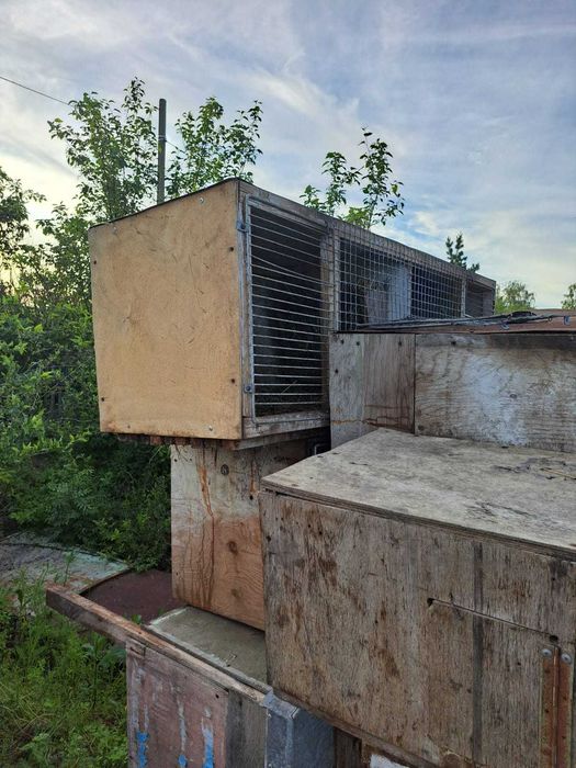 продам клетки для кроликов