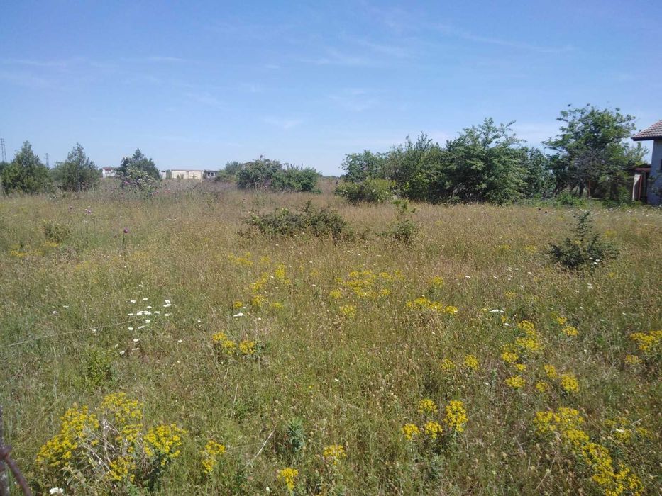 Парцел 1142м. . УПИ с. Топола, ток, сондаж и ограда