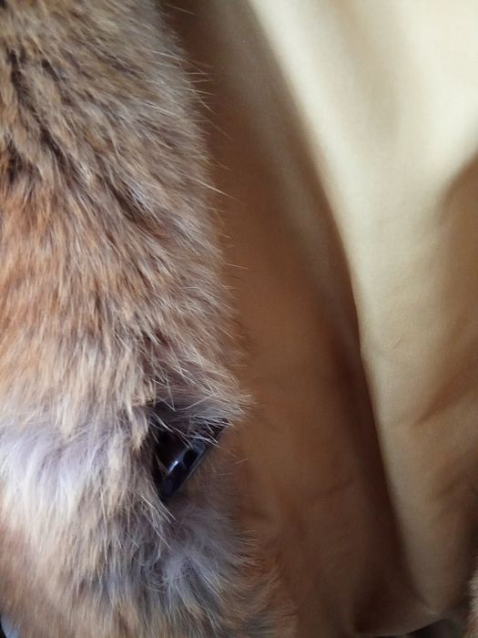 Продам шубу норка,автоледи,