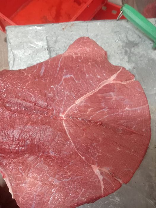 Мясо Халял Говядина согым, оптовая цена