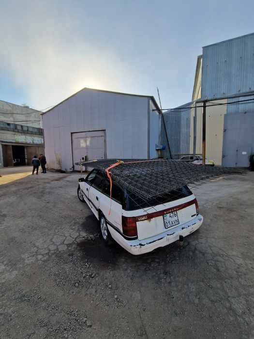 Продам живого субарика