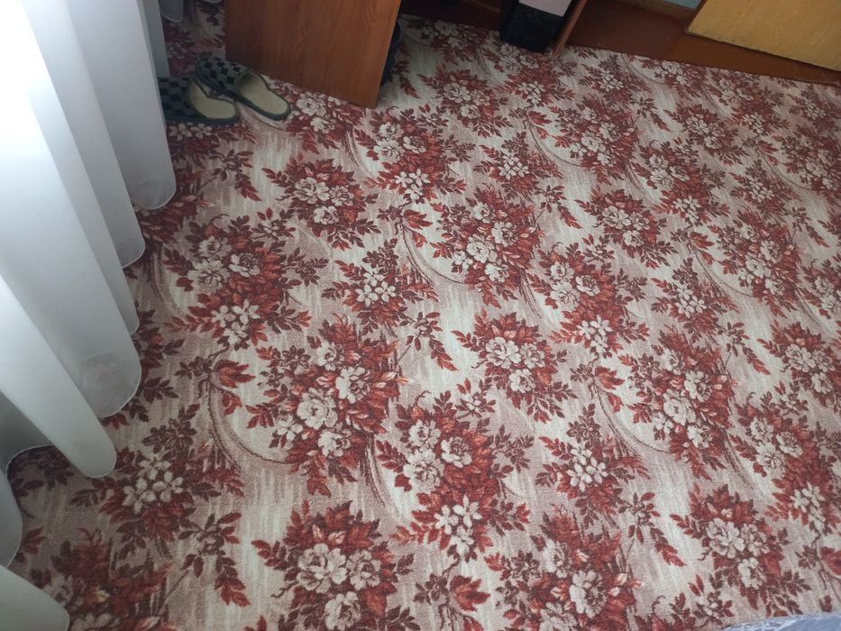 Ковры, паласы после химчистки