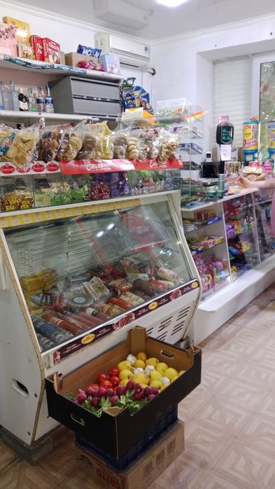 Квартира и магазин