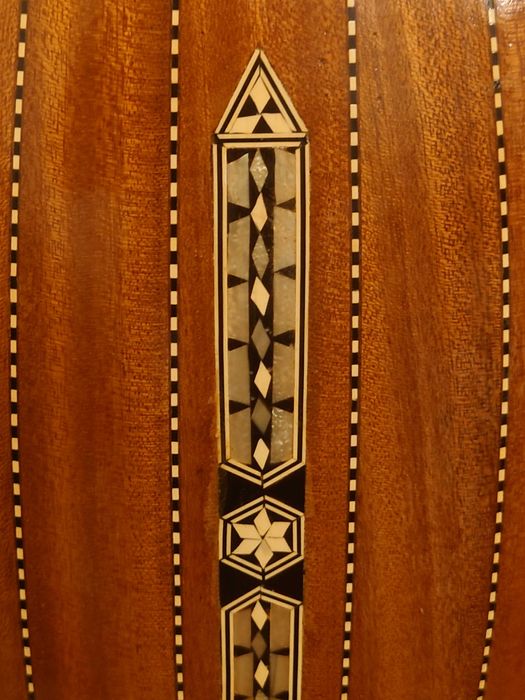 Arabic professional musician oud