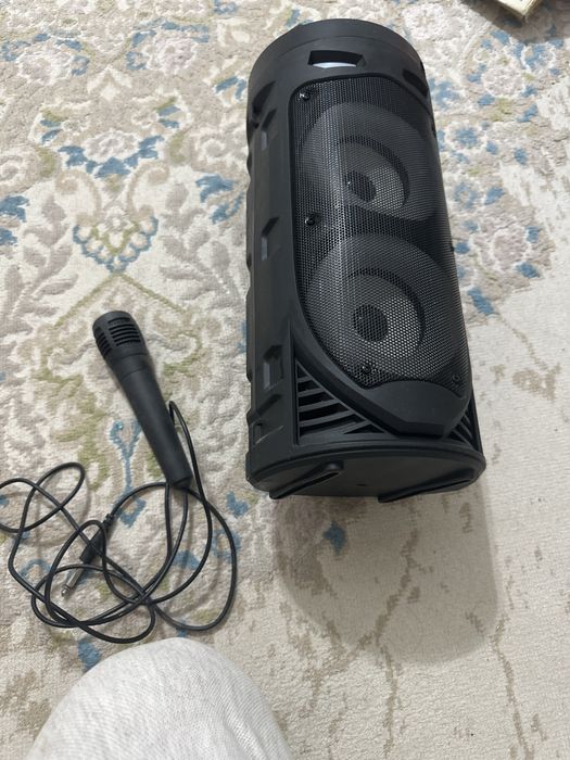 Караоке с микрафоном