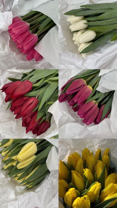 Тюльпаны к 8 марта