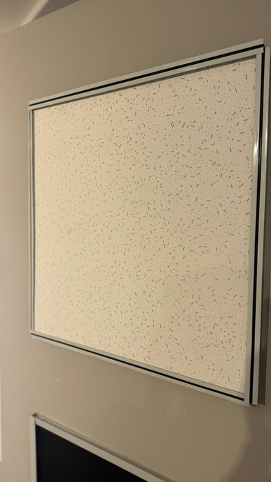 Армстронг на продажу