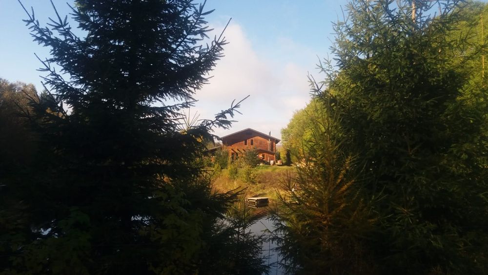 Pensiune cu păstrăvărie - 3,5 h teren pădure/pădure/bazine 6