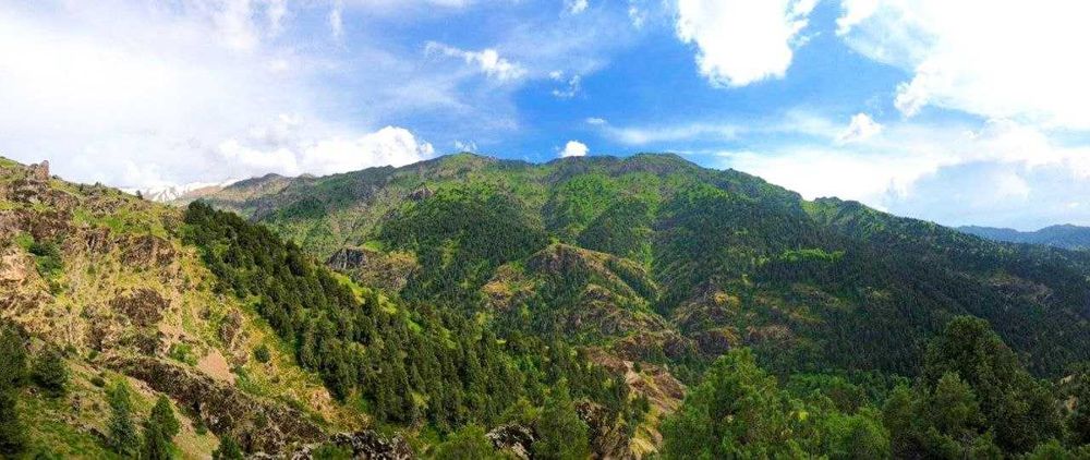 Организация активного отдыха - походы и прогулки по горам Узбекистана