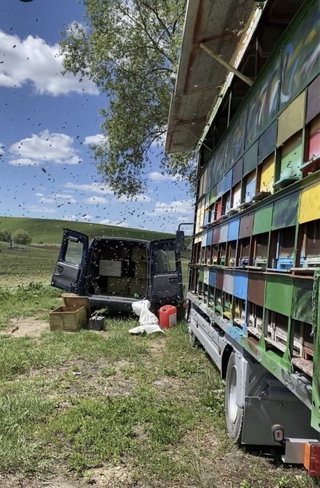 Mercedes Atego 815 Omologat Apicol