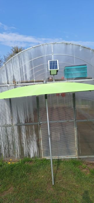 Umbrela gradina, plaja