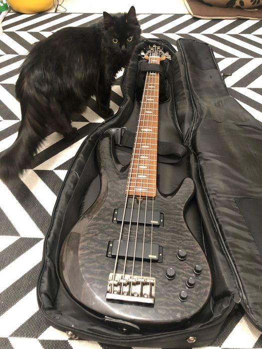 Chitara bass Yamaha Trb1005