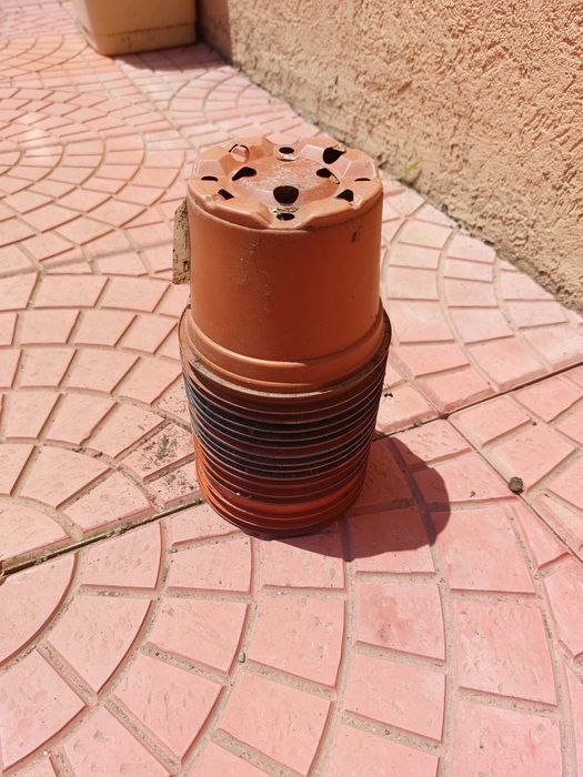 саксии за щветя и растения