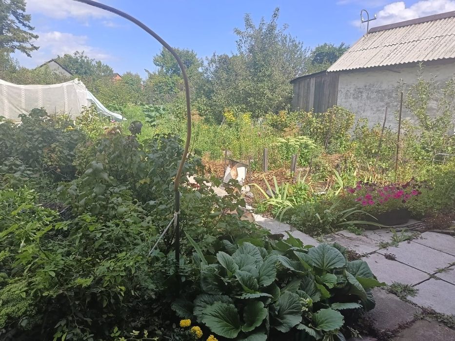 Продам дачу зимний вариант