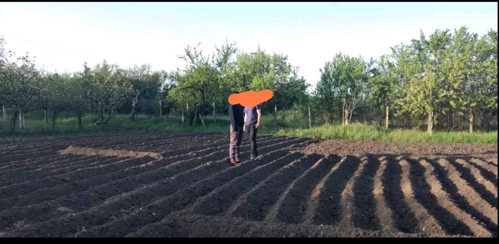 Продава се Къща в с. Ерден, Област Монтана - 75 кв.м за 714 €/кв.м - Снимка #11