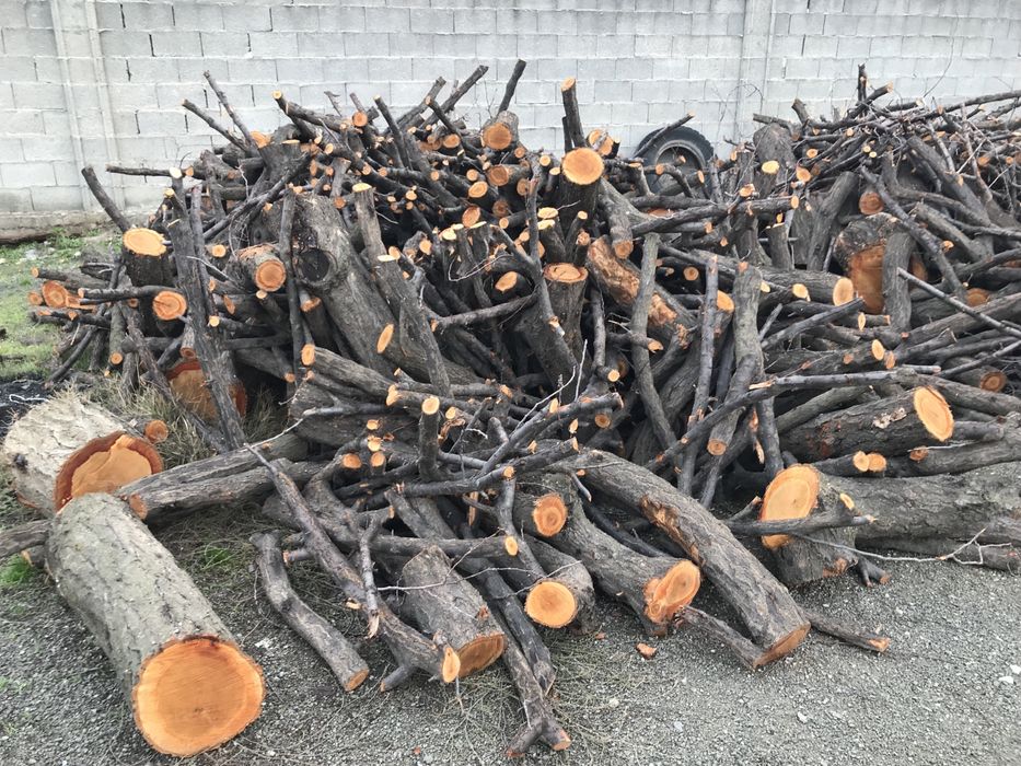 Otin sotiladi bir mawina 53 da chiqadi manzil:andijon tumani xrabekdan