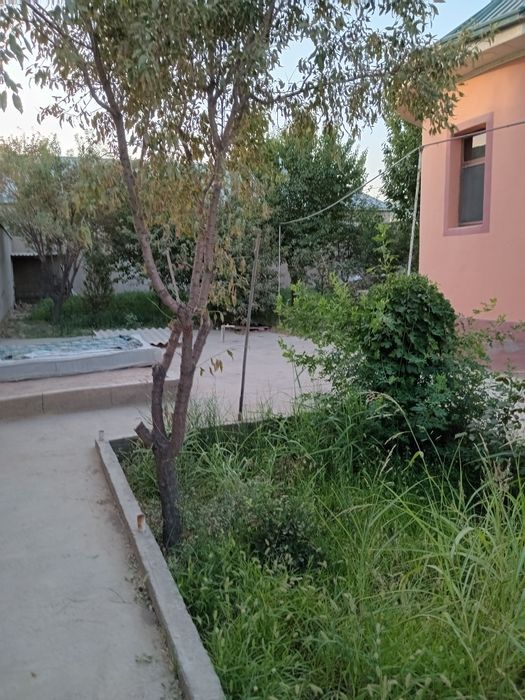 Ховли уй сотилади