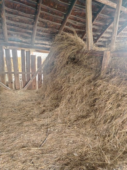 Fân de vânzare pentru animale