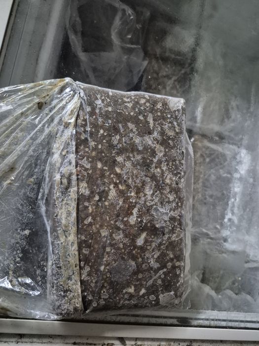 Фарш рыбный из карася