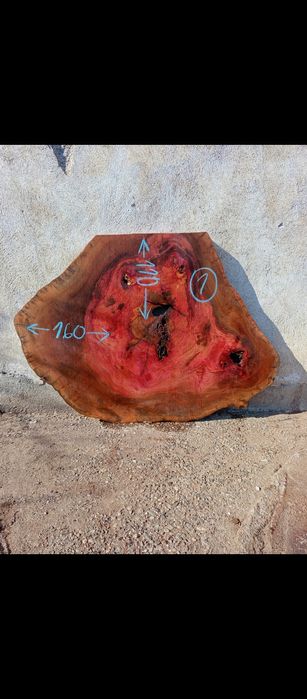 Шайби ф120-160см от чинар за заливане със смола за трапезна маса.