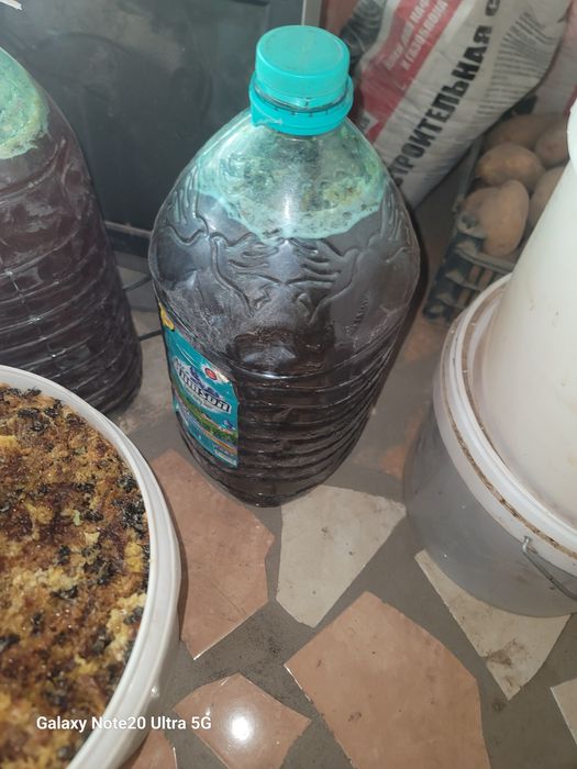 Toza tog' asali  shakar aralashmagan