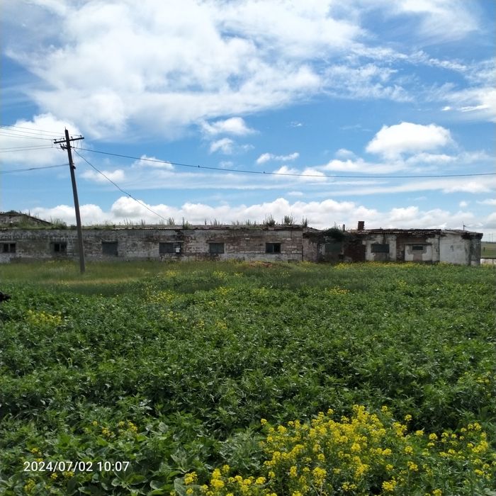 Подхоз в селе Чаглинка,  срочно, торг