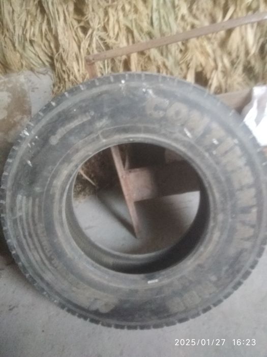 Holati ideal kami bor