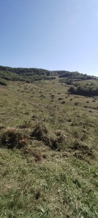 Curăț pașuni livezi manual ne deplasăm ori unde în țară negociere