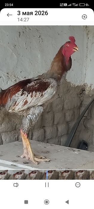 Сатлады срочнааа