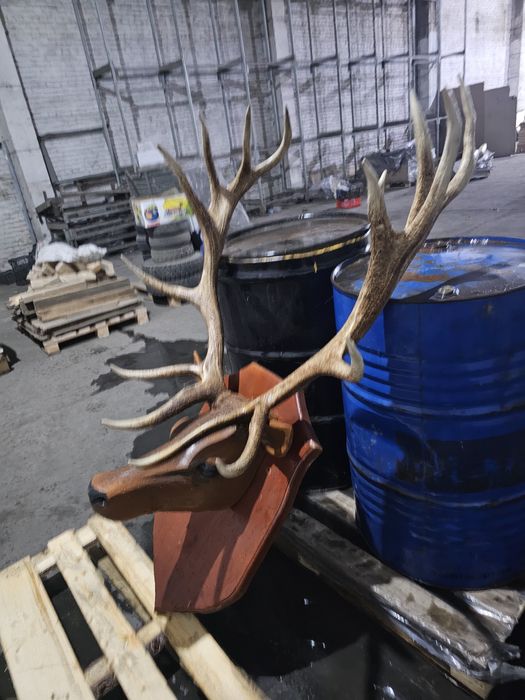 Красивый сувенир  Олень